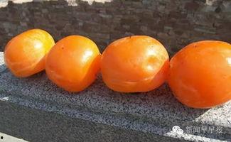 我是千金不是软柿子,我的独立人生之路 第3张 我是千金不是软柿子,我的独立人生之路 第3张