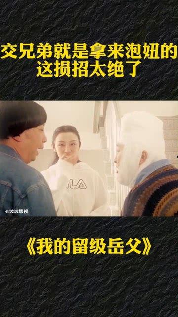 我的留级岳父,一部跨越时代的亲情传奇  第1张