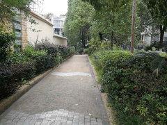 都市卧龙,隐匿凡尘的传奇智谋  第1张