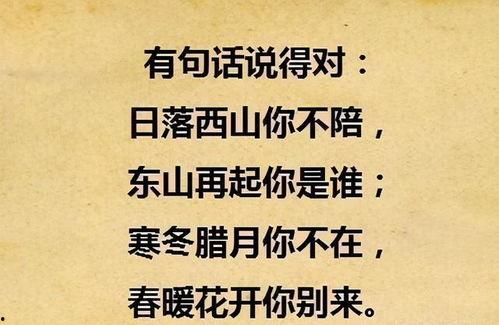 东山再起你是谁  第2张