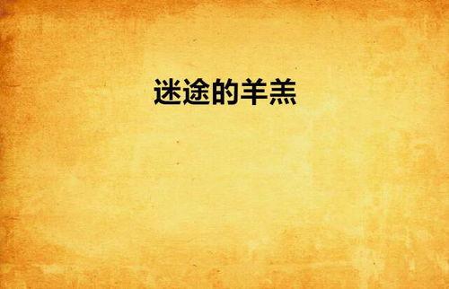 迷途羔羊,探寻心灵迷失与救赎之旅  第1张