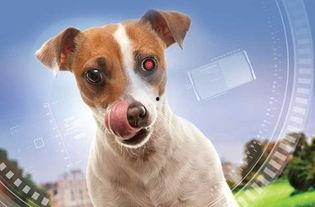 我的超级智能狗,未来宠物界的超级助手  第1张