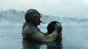 二龙湖水怪,神秘生物的传说与真相  第1张