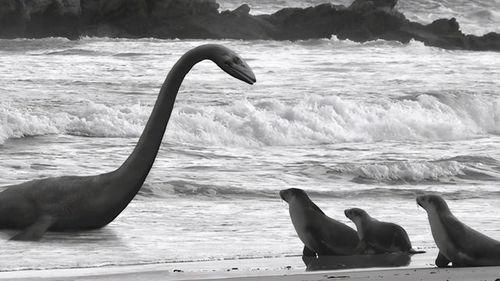 二龙湖水怪,神秘生物的传说与真相  第2张