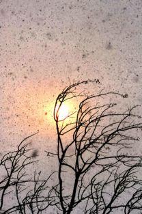 只要太阳还在舞动,永恒之光 第3张 只要太阳还在舞动,永恒之光 第3张