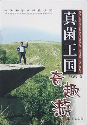 真菌王国,探索菌类世界的奥秘与魅力